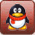 QQ: 2392626907